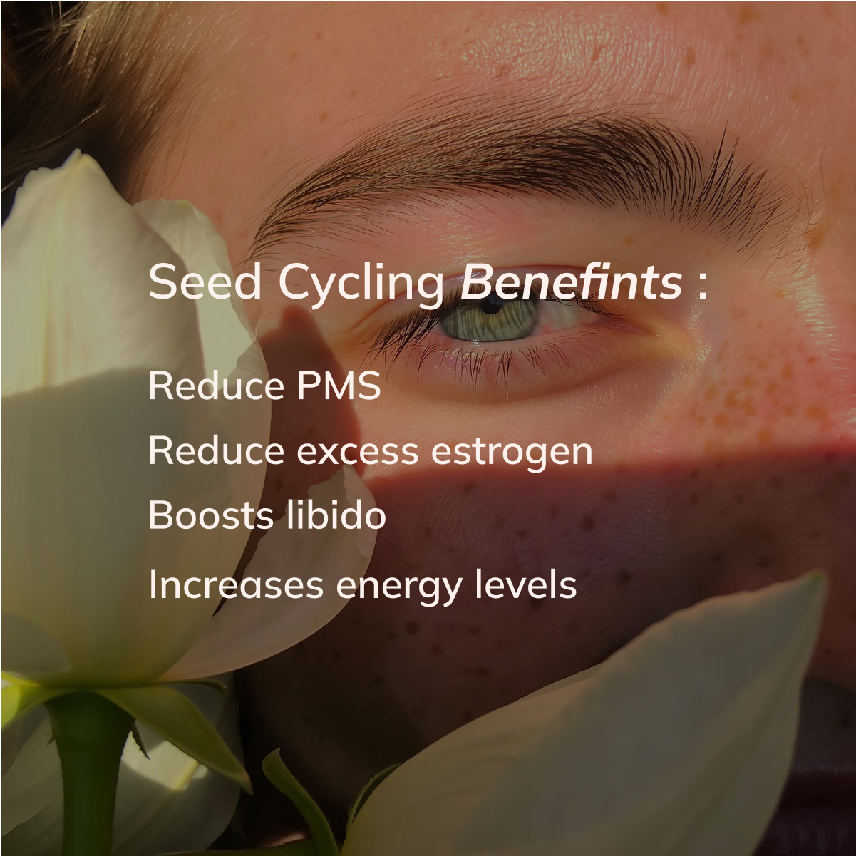 Seed Cycle™ Kit
